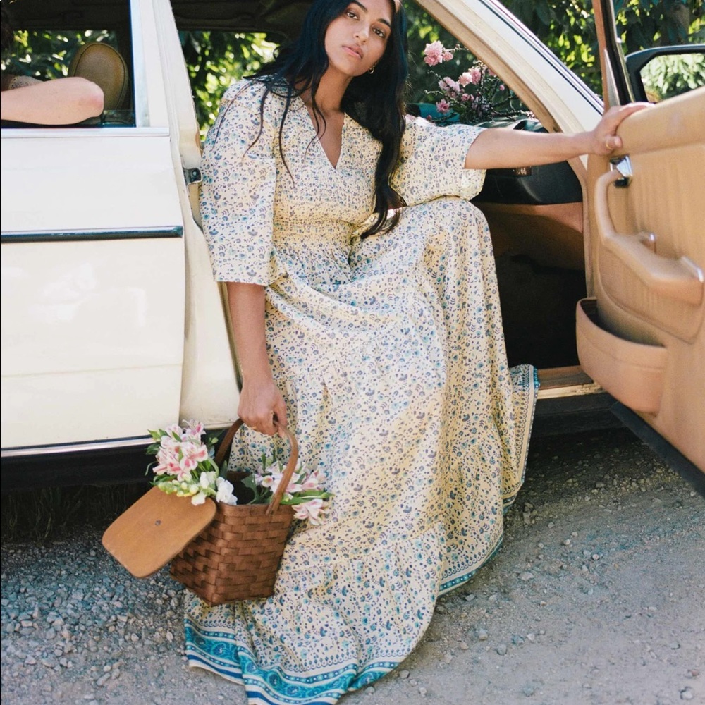 NWT Christy Dawn Basil Dress in Larkspur Ditsy Field Silk-Cotton
